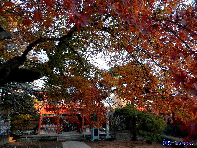清水公園 R01紅葉－6 2019/Dec/04