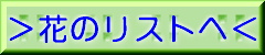 Ԃ̃Xg\